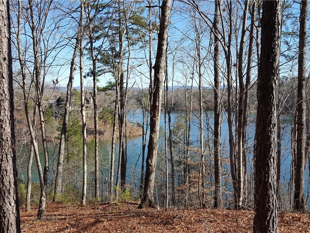 Photo of 917 Rippling Water Way