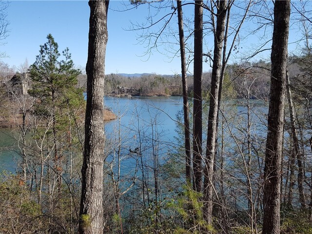 Photo of 917 Rippling Water Way