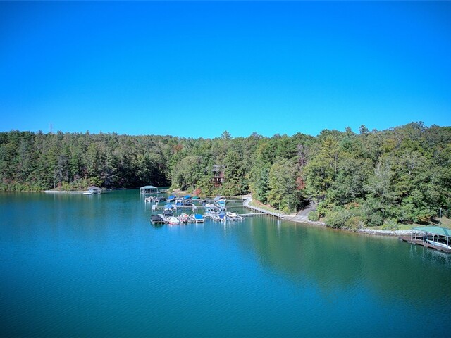 Photo of 517 Keowee Bay Circle