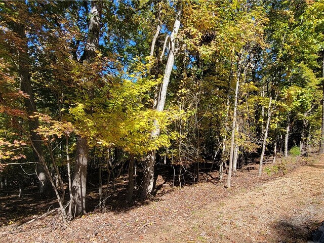 Photo of 00 S Arrowhead Drive