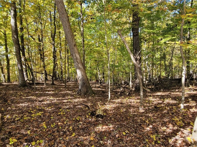 Photo of 00 S Arrowhead Drive