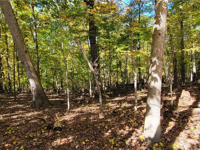 Photo of 00 S Arrowhead Drive