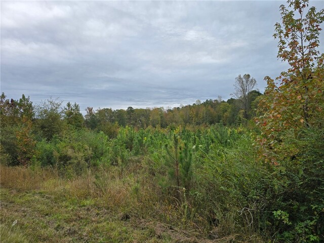 Photo of 0 E Highway 378