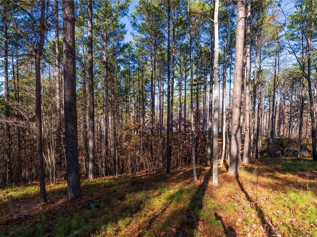 Photo of Lot 184 Pebblecreek Court