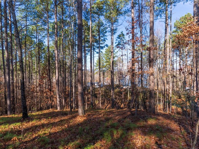 Photo of Lot 184 Pebblecreek Court