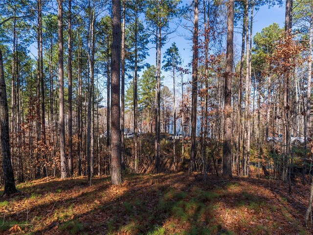 Photo of Lot 184 Pebblecreek Court