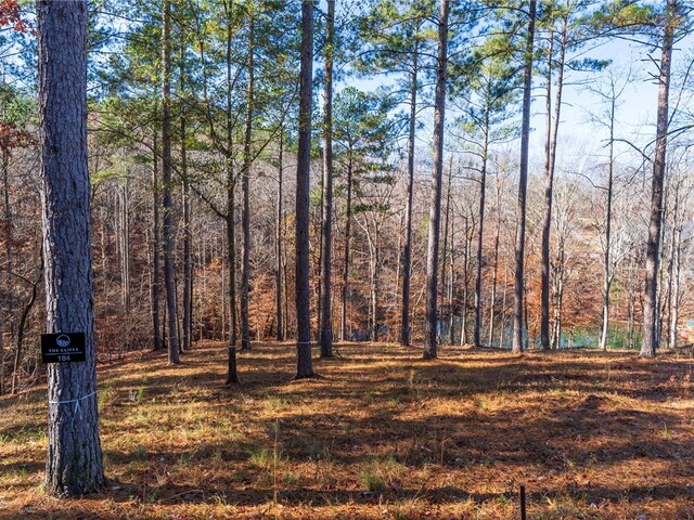 Photo of Lot 184 Pebblecreek Court