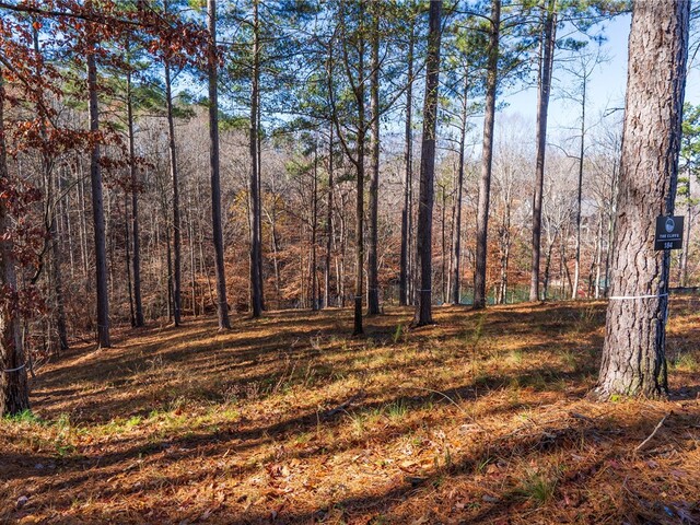 Photo of Lot 184 Pebblecreek Court