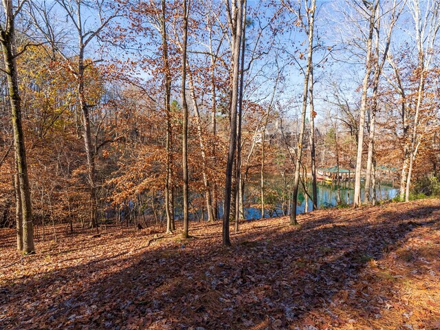 Photo of Lot 184 Pebblecreek Court