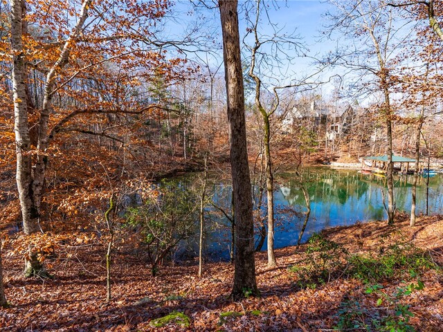 Photo of Lot 184 Pebblecreek Court