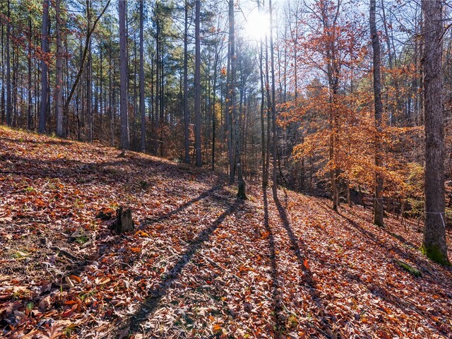 Photo of Lot 184 Pebblecreek Court