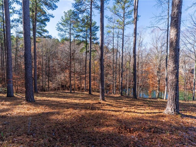 Photo of Lot 184 Pebblecreek Court