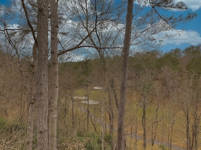 Photo of 44 Channel Lane