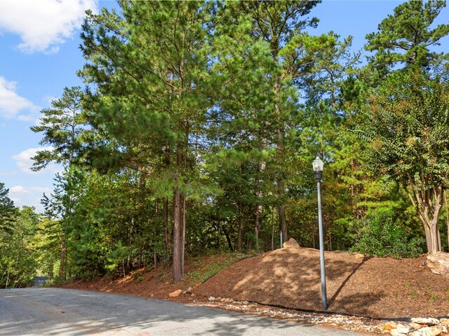 Photo of Lot 27 Coachmans Trail