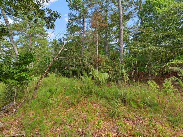 Photo of Lot 27 Coachmans Trail