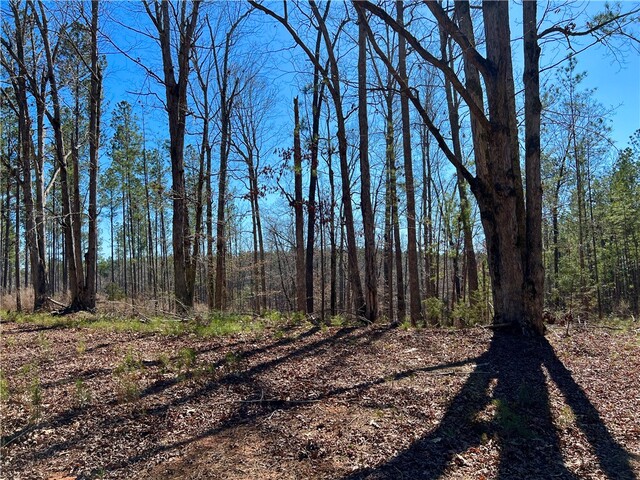 Photo of 00 Sarah Simpson Road