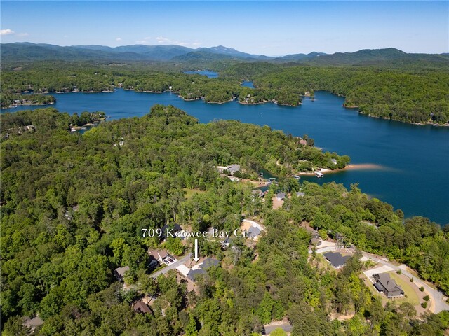 Photo of 709 Keowee Bay Circle