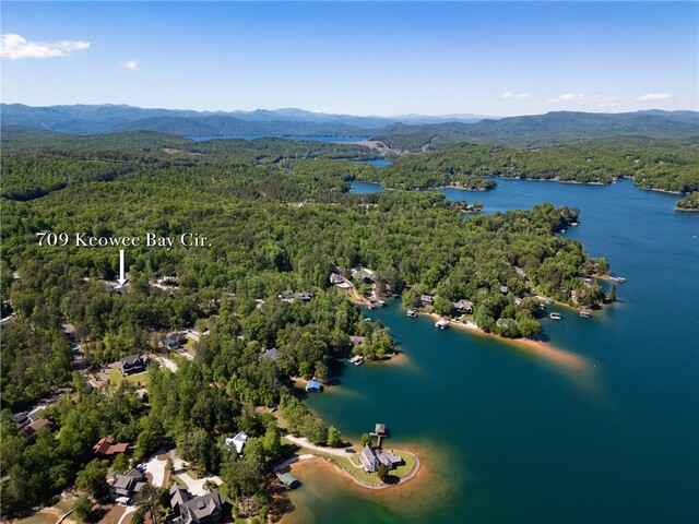Photo of 709 Keowee Bay Circle