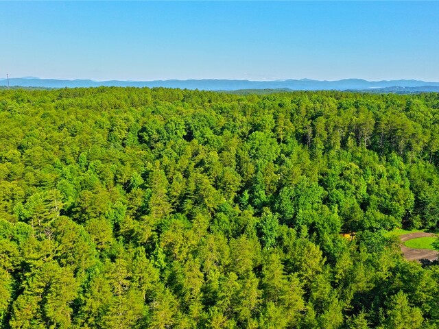 Photo of 746 Acres - 369 E Stamp Creek Road