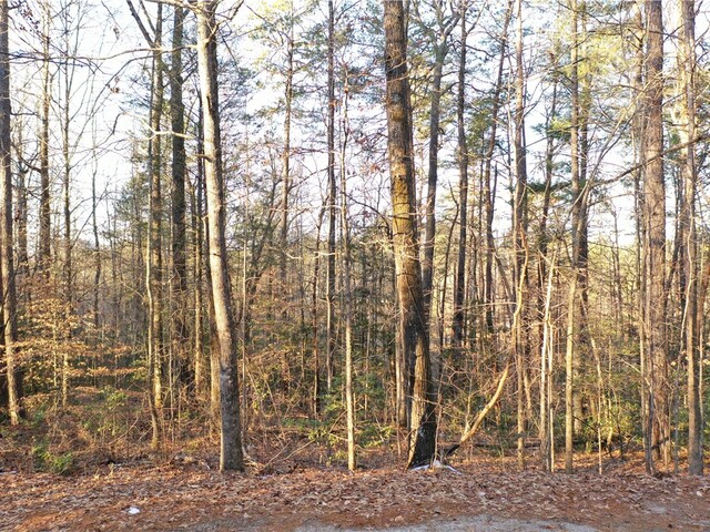 Photo of 611 The Bear Boulevard