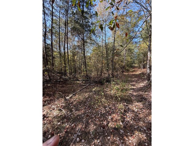 Photo of 0 Hunters Trail