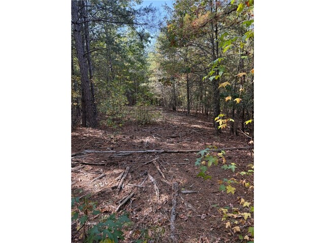 Photo of 0 Hunters Trail