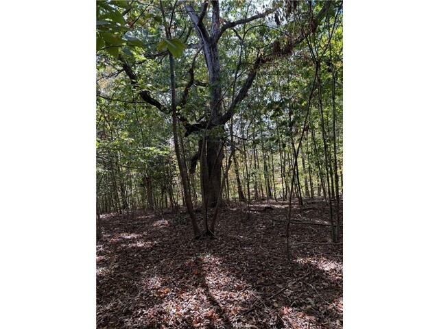 Photo of 0 Hunters Trail