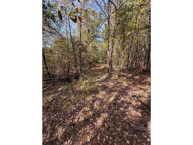 Photo of 0 Hunters Trail