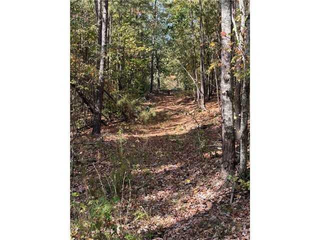 Photo of 0 Hunters Trail