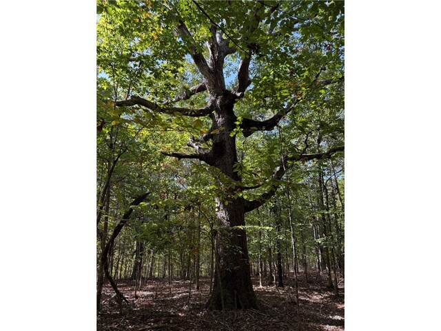 Photo of 0 Hunters Trail