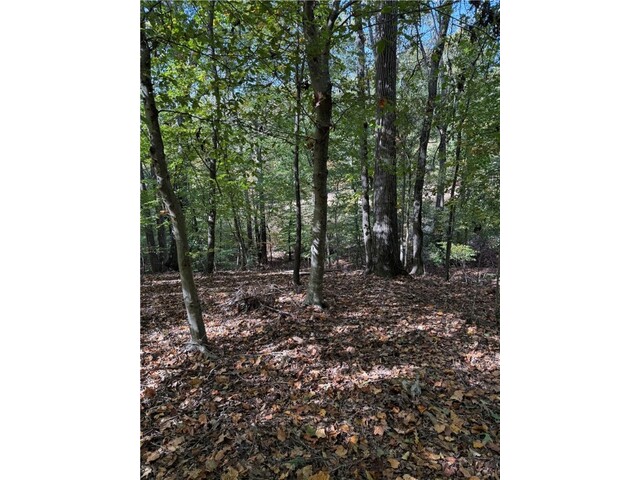 Photo of 0 Hunters Trail