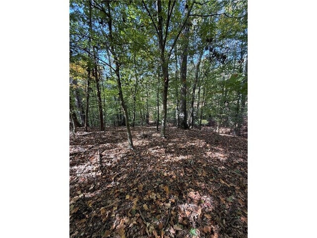 Photo of 0 Hunters Trail