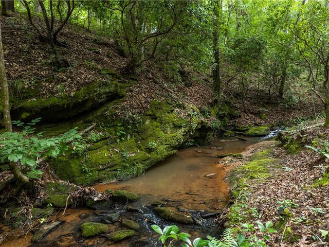Photo of TBD Colony Lane