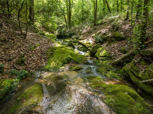 Photo of TBD Colony Lane