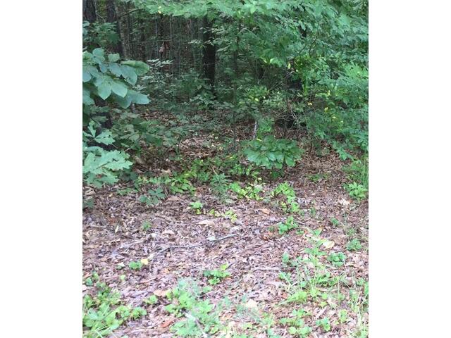 Photo of Lot 33 Den Ridge Drive