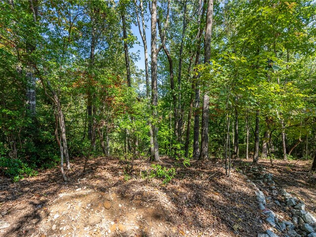 Photo of 407 Clearwater Cove