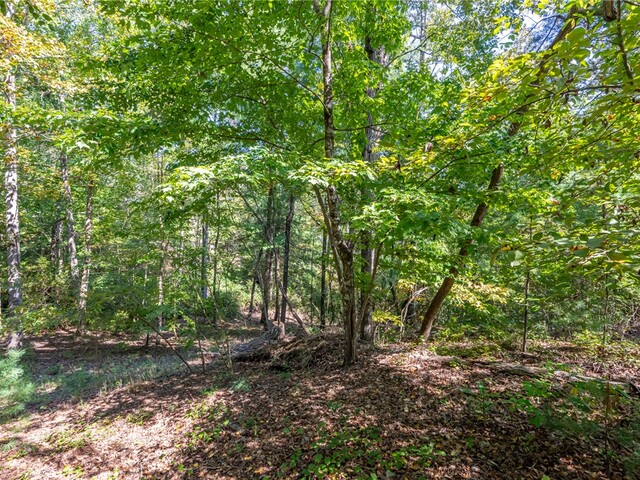 Photo of 407 Clearwater Cove