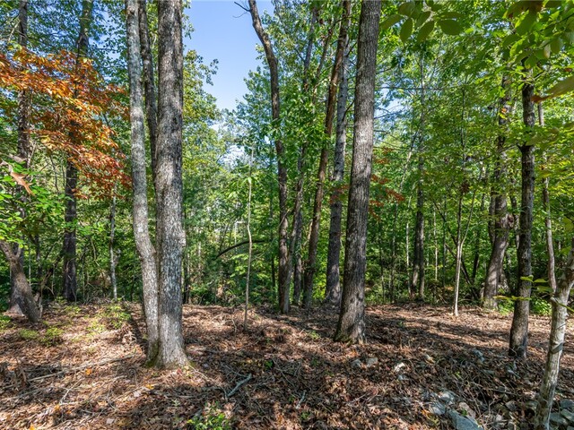 Photo of 407 Clearwater Cove