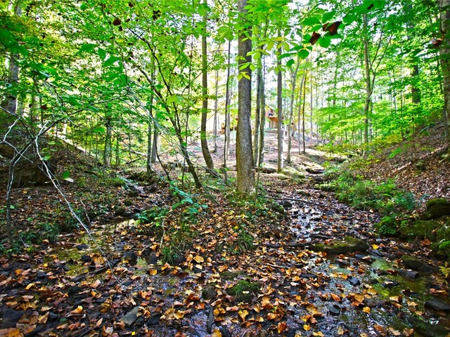 Photo of 301 Cedar Creek Drive