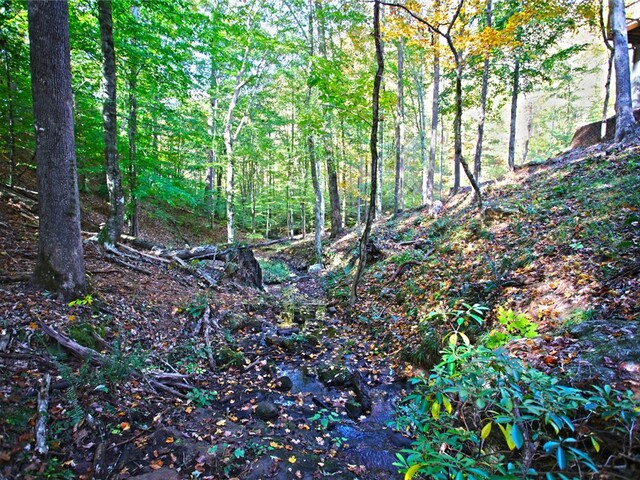 Photo of 301 Cedar Creek Drive