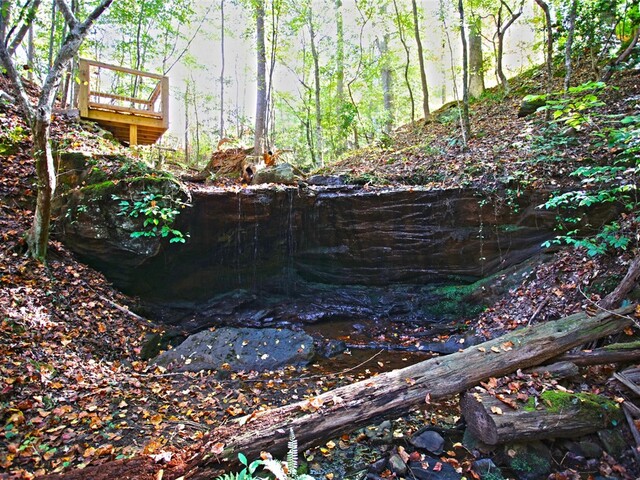 Photo of 301 Cedar Creek Drive