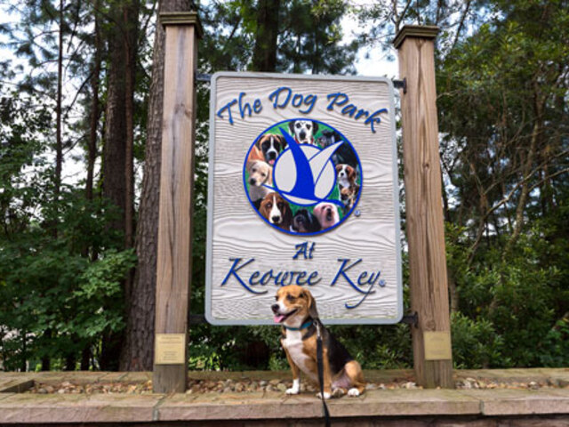 Photo of 487 Tall Ship Drive