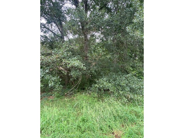 Photo of Lot 102 Grand Oak Circle