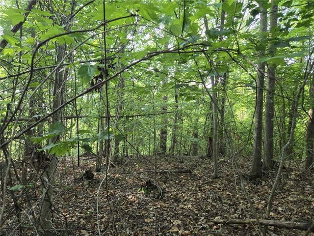 Photo of Lot 356 E Laurel Drive