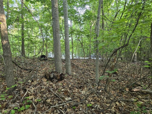 Photo of Lot 356 E Laurel Drive