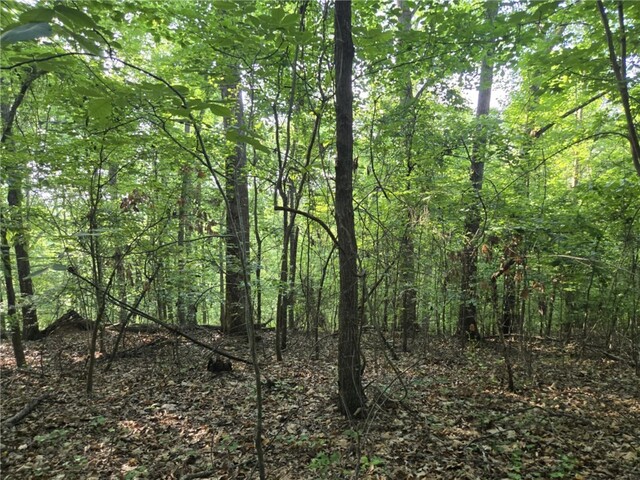 Photo of Lot 356 E Laurel Drive
