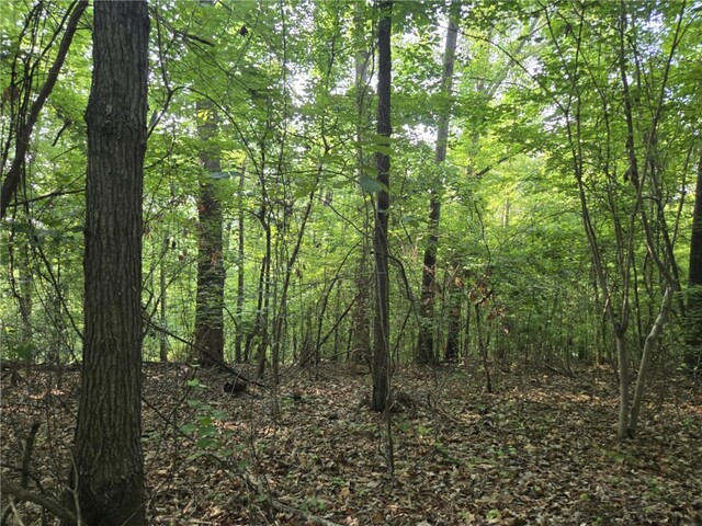 Photo of Lot 356 E Laurel Drive