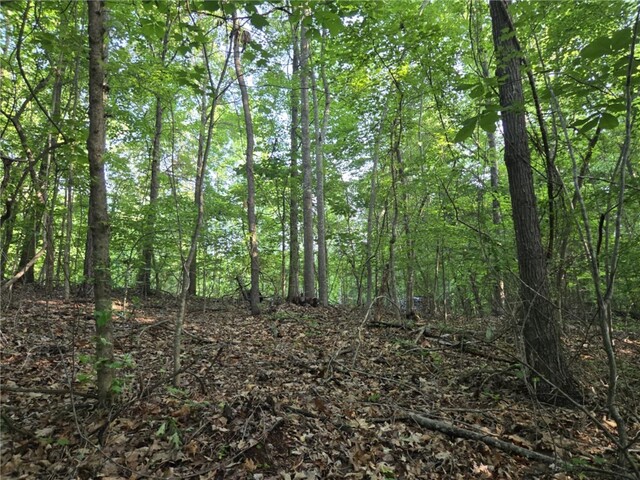 Photo of Lot 356 E Laurel Drive