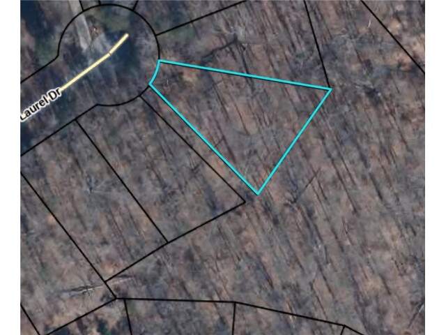 Photo of Lot 356 E Laurel Drive