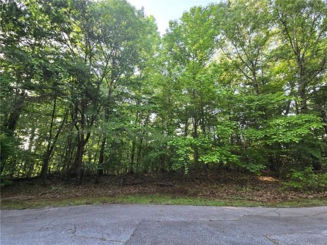 Photo of Lot 356 E Laurel Drive